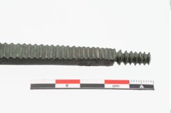 Foto von Bronzeraspel (NHMW-PRAE-023825)